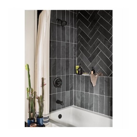 Moen Banb BLK TubSHWR Head 82910BL